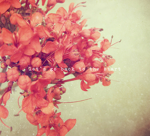 http://boulyzekid.free.fr/blog/tumblr_kxac9t1F0V1qzpnmeo1_500.jpg